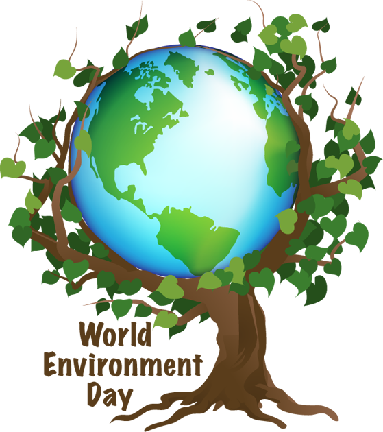 Essay on environment and natural resources