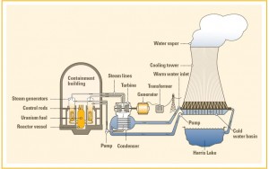 how-a-nuclear-plant-works