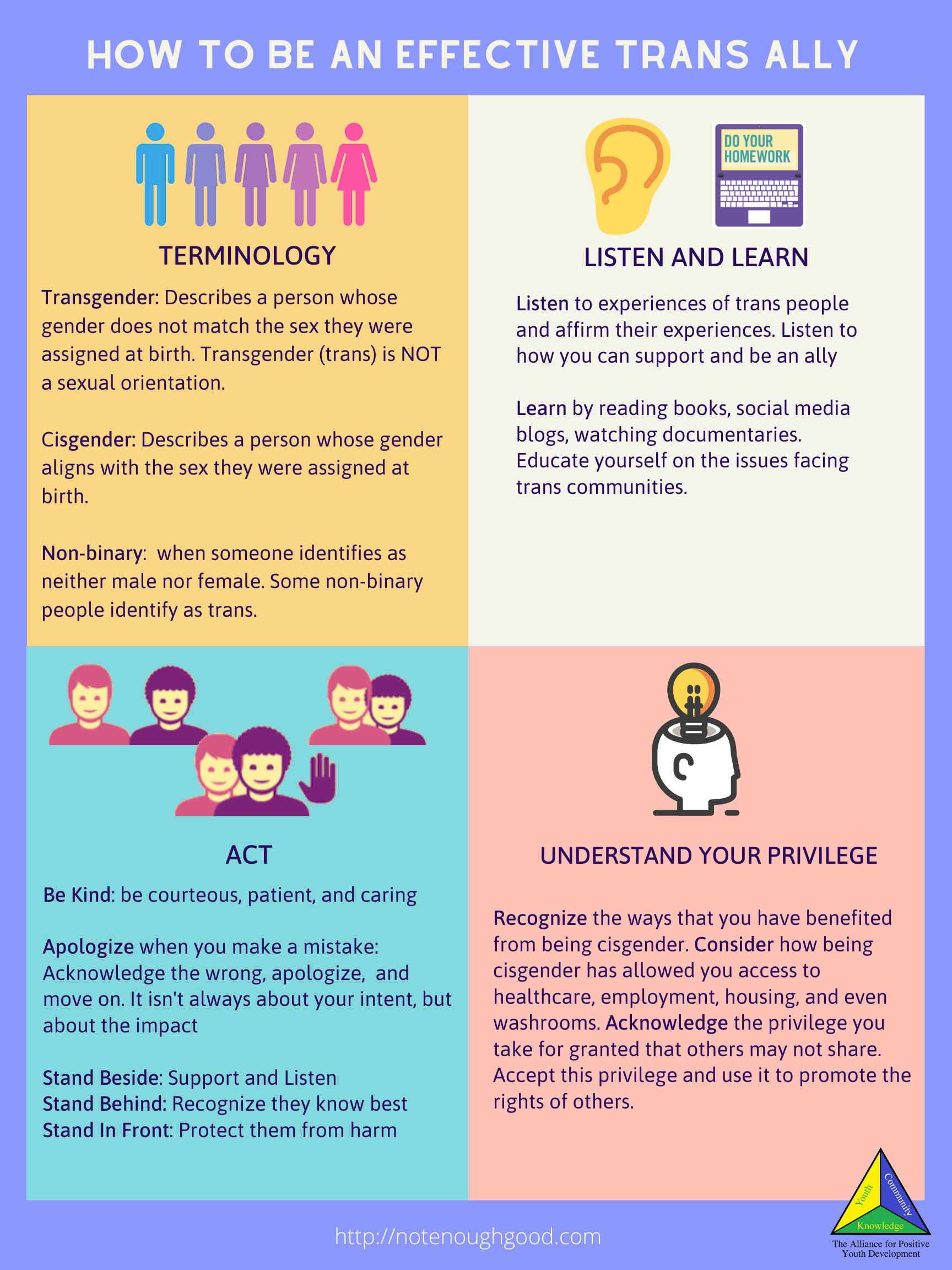 infographic on how to be an effective trans ally