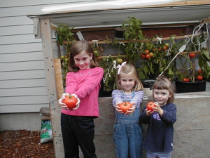 girls planting tomatos