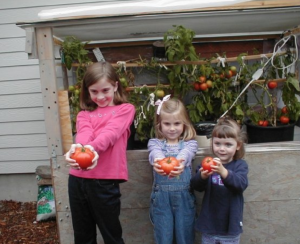girls planting tomatos